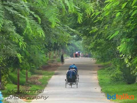 Mozammel Haque Photograph...